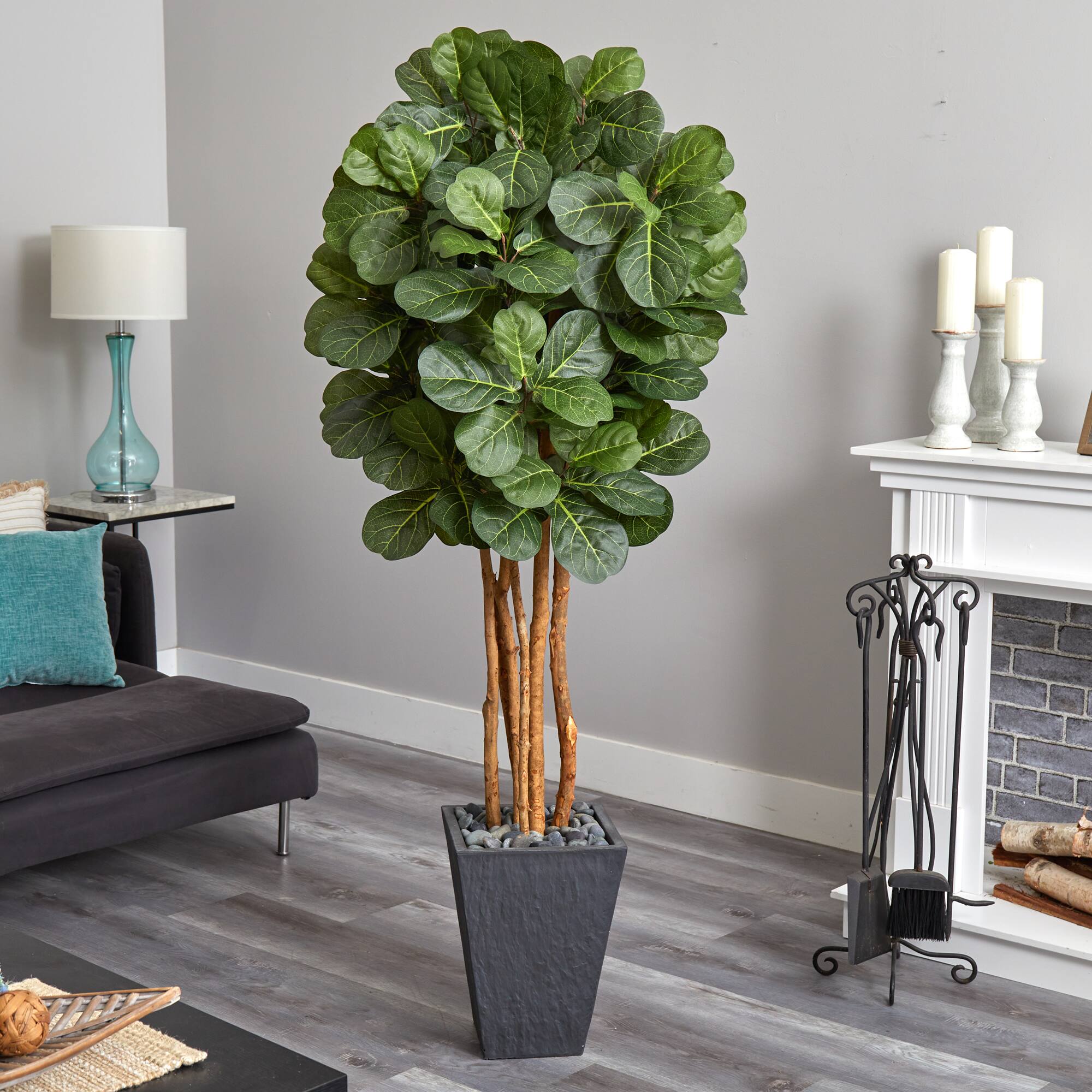 5.5ft. Fiddle Leaf Tree in Slate Planter